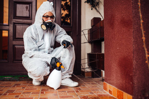 Attic and Crawl Space Rodent Treatment in Frewsburg