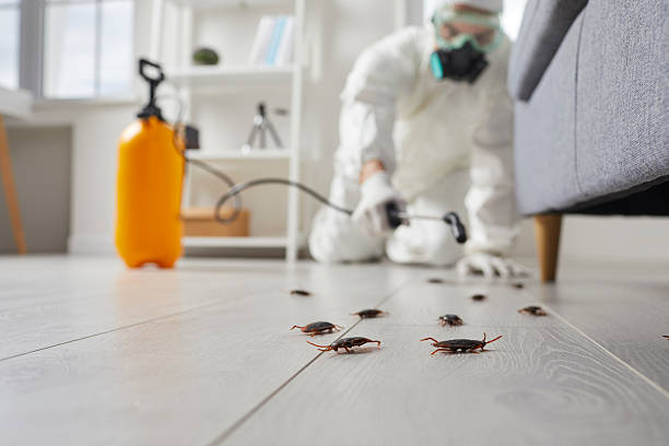 Commercial Rodent Management in Frewsburg